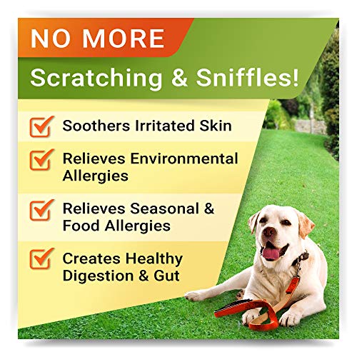 Allergy Relief Dog Treats w/Omega 3 + Pumpkin + Enzymes + Turmeric - Itchy Skin Relief - Immune & Digestive Supplement - Skin & Coat Health - Anti-Itch & Hot Spots -Made in USA - Chicken Flavor Chews