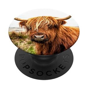 cute highland cow face - scottish cow popsockets popgrip: swappable grip for phones & tablets