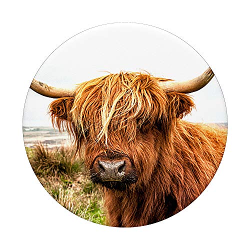 Cute Highland Cow Face - Scottish Cow PopSockets PopGrip: Swappable Grip for Phones & Tablets