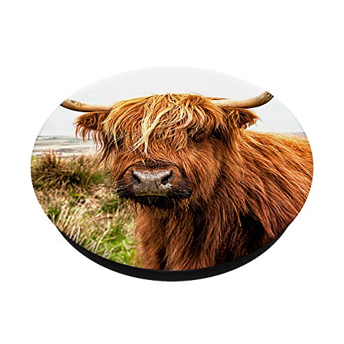 Cute Highland Cow Face - Scottish Cow PopSockets PopGrip: Swappable Grip for Phones & Tablets