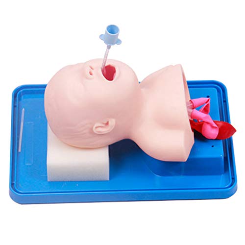 PVC Material Pediatric Intubation Manikin Study Teaching Baby Model Education Nurse Lab Airway Management Trainer Endotracheal Intubation Procedure Teaching Study