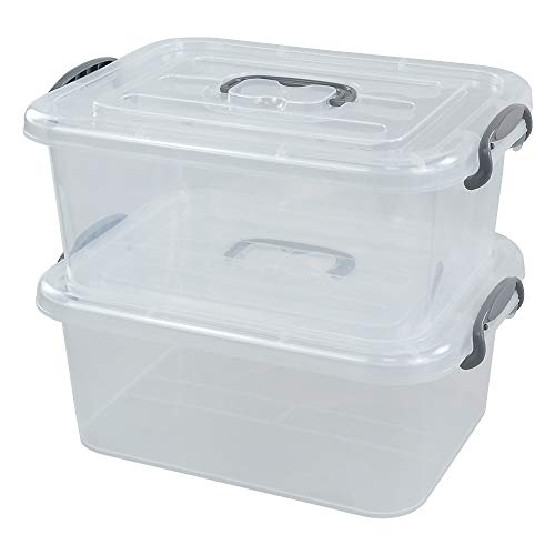 Zerdyne 2 Packs 8 L Clear Plastic Storage Boxes with Grey Handle