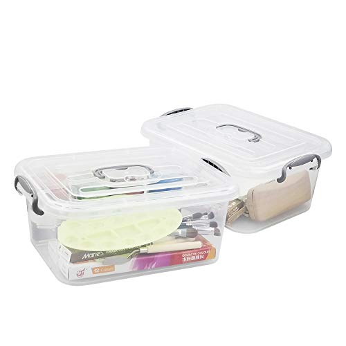 Zerdyne 2 Packs 8 L Clear Plastic Storage Boxes with Grey Handle