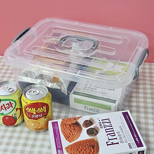 Zerdyne 2 Packs 8 L Clear Plastic Storage Boxes with Grey Handle