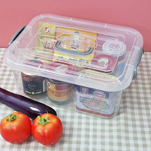 Zerdyne 2 Packs 8 L Clear Plastic Storage Boxes with Grey Handle