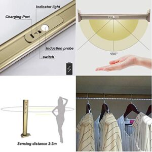 FKhanger Closet Rod for Hanging Clothes,Wardrobe Clothes Rail with Built-in Led Lighting,Lithium Battery Powered,Aluminum Hanging Rail (Size : 1000mm)