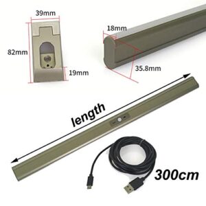 FKhanger Closet Rod for Hanging Clothes,Wardrobe Clothes Rail with Built-in Led Lighting,Lithium Battery Powered,Aluminum Hanging Rail (Size : 1000mm)