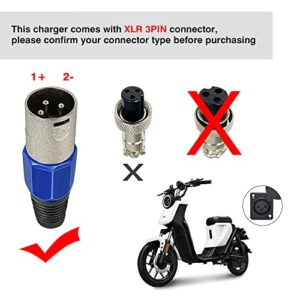 YZPOWER 54.6V 4A Power Adapter for Electric Bike Mobility Scooter 48V Lithium Battery Charger XLR Connector