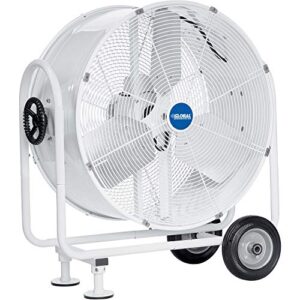 global industrial outdoor rated 24" mobile tilt drum blower fan, 5800 cfm, 1/4 hp