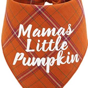 Thanksgiving Dog Bandana,Fall Bandanas for Puppy Cat Small Large Dogs