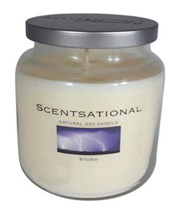 scentsational storm jar scented candle - fresh after rain breeze - hand-poured white natural soy wax with wooden lid - single lead-free wick - 19 oz