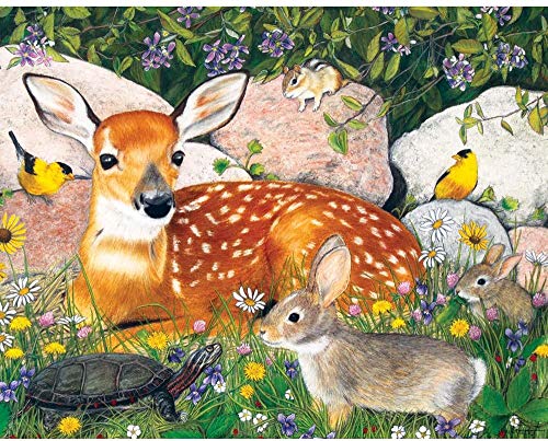 Bits and Pieces - 200 Piece Large Piece Family Jigsaw Puzzle for Adults & Kids - 15" x 19" - Woodland Friends - 200 pc Forest Deer Bunny Turtle Bird Large Piece Jigsaw Puzzle by Julie Bauknecht