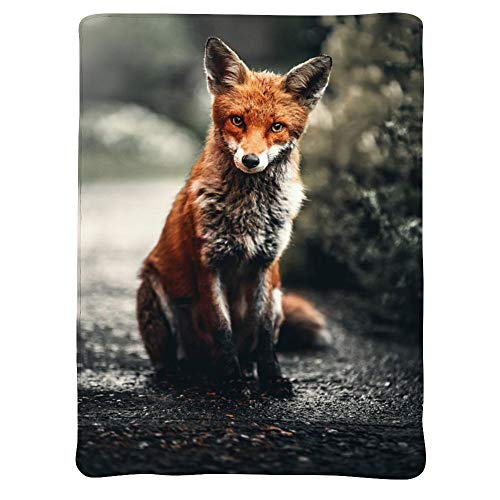 JASMODER Throw Blanket Fox Sitting On Ground Soft Microfiber Lightweight Cozy Warm Blankets for Couch Bedroom Living Room