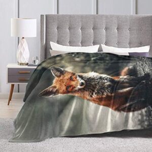 JASMODER Throw Blanket Fox Sitting On Ground Soft Microfiber Lightweight Cozy Warm Blankets for Couch Bedroom Living Room