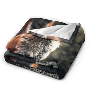 JASMODER Throw Blanket Fox Sitting On Ground Soft Microfiber Lightweight Cozy Warm Blankets for Couch Bedroom Living Room