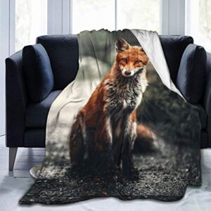 JASMODER Throw Blanket Fox Sitting On Ground Soft Microfiber Lightweight Cozy Warm Blankets for Couch Bedroom Living Room