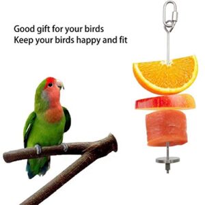 Brave Tour Bird Food Holder, Bird Feeders, Stainless Steel Parrot Fruit Vegetable Stick Holder, Foraging Toy, Bird Treat Skewer