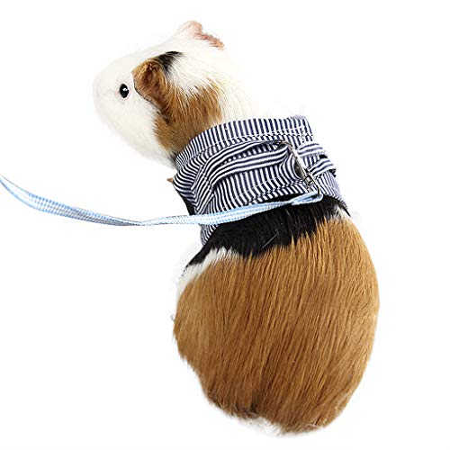 Small Pet Harness Soft Cotton Guinea Pig Bunny Harness and Leash Set for Guinea Pig Hamster Chinchilla Rabbit Squirrel Hedgehog Ferret Small Animals Walking Chest Strap Vest Harness with Lead Leash