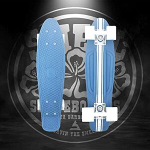 Swell Skateboards for Kids Ages 6-12 | Cruiser Complete Skateboard for Beginners, Boys, Girls, Youths, Teens, Adults College Students | 22 inch and 28 Inch Plastic Retro Mini Skateboard (22" Stringer)