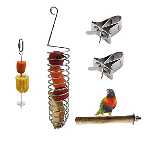 alfyng 5 PCS Bird Food Holder Set, 2pc Parrot Hanging Cage Vegetable Fruit Feeder and Clips, 1pc Bird Stand Perch, Stainless Steel Bird Treat Skewer Parrot Foraging Toy, Animal Feeding Treating Tool