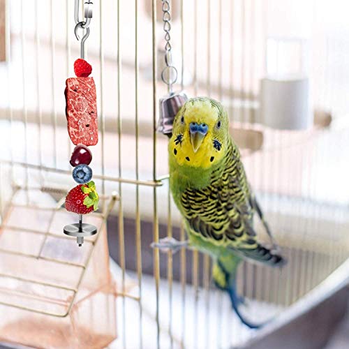 alfyng 5 PCS Bird Food Holder Set, 2pc Parrot Hanging Cage Vegetable Fruit Feeder and Clips, 1pc Bird Stand Perch, Stainless Steel Bird Treat Skewer Parrot Foraging Toy, Animal Feeding Treating Tool