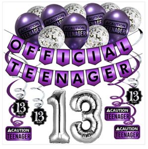 funny official teenager 13th birthday party pack - purple 13th birthday party supplies, decorations and favors