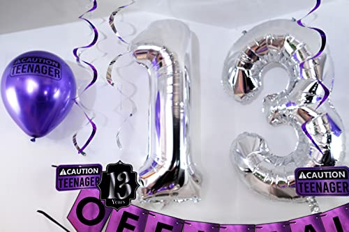 Funny Official Teenager 13th Birthday Party Pack - Purple 13th Birthday Party Supplies, Decorations and Favors