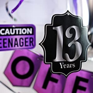 Funny Official Teenager 13th Birthday Party Pack - Purple 13th Birthday Party Supplies, Decorations and Favors