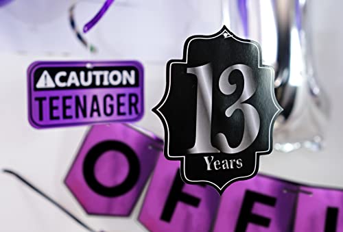 Funny Official Teenager 13th Birthday Party Pack - Purple 13th Birthday Party Supplies, Decorations and Favors