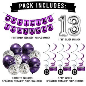 Funny Official Teenager 13th Birthday Party Pack - Purple 13th Birthday Party Supplies, Decorations and Favors