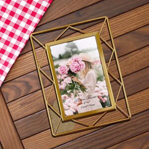 SPEPLA 4x6 Metal Picture Frames for Tabletop or Wall Mounting Display, 2 Pack 6 x 4 Photo Frame