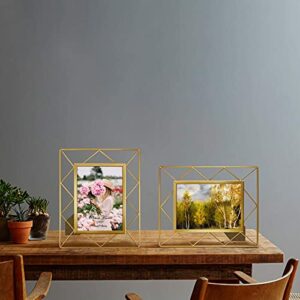 SPEPLA 5x7 Metal Picture Frames for Tabletop or Wall Mounting Display, 2 Pack 7 x 5 Photo Frame