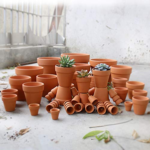 Yishang Mini Terracotta Pots with Drainage Holes - 1.2 inches Succulent Cactus Nursery Planter,Tiny Clay Nursery Pots for Indoor/Outdoor Mini Plant, DIY Crafts, Wedding Favors(18 Pack)