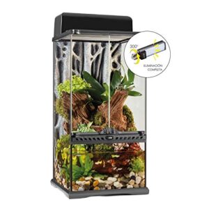 Exo Terra Forest Canopy LED, Reptile Terrarium Lighting