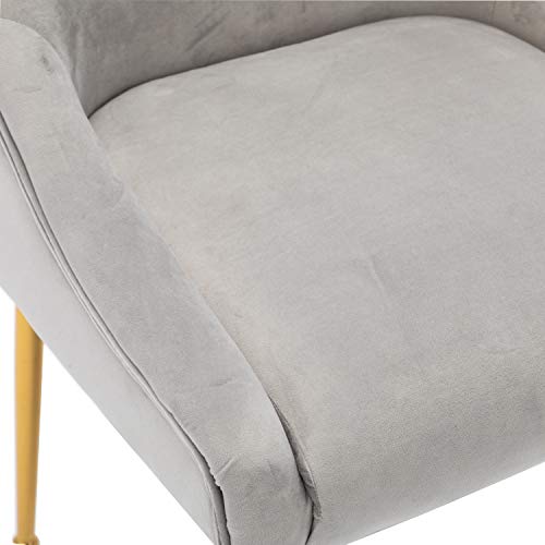 Wahson Velvet Upholstered Dining Chair with Brass Legs, Modern Accent Chair for Dining Room/Living Room/Bedroom, Set of 2, Grey