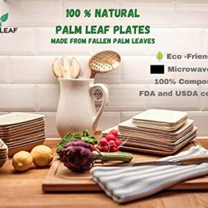 Charity Leaf Disposable Palm Leaf 15" x 10" Trays (10 pieces) Bamboo Like Serving Platters, Disposable Boards, Eco-Friendly Dinnerware For Weddings, Catering, Events