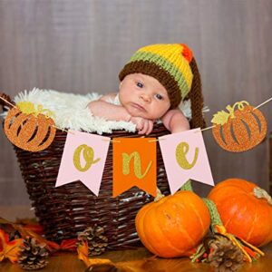 Fall Pumpkin One Banner + Pumpkin One Cake Topper for Thanksgiving Fall Pumpkin Themed 1st Birthday Party Decorations Supplies