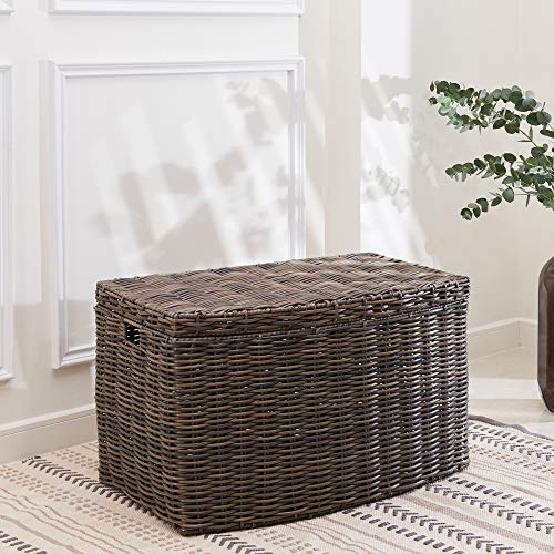 VIFAH Valeria Rectangular Resin Lidded Laundry Hamper with Handles