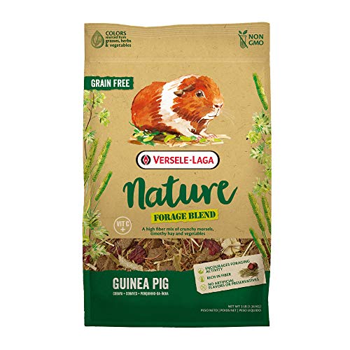 Higgins Pet Food Nature Forage Guinea Pig 3Lb