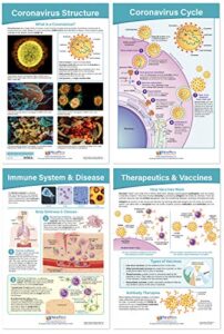 newpath learning coronavirus structure & immunity bulletin board chart set, set/4 - laminated, double-sided, full-color, 12" x 18" (94-7716)