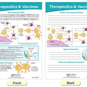 NewPath Learning Coronavirus Structure & Immunity Bulletin Board Chart Set, Set/4 - Laminated, Double-Sided, Full-Color, 12" x 18" (94-7716)