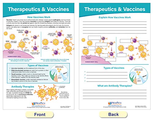 NewPath Learning Coronavirus Structure & Immunity Bulletin Board Chart Set, Set/4 - Laminated, Double-Sided, Full-Color, 12" x 18" (94-7716)