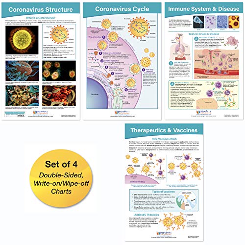 NewPath Learning Coronavirus Structure & Immunity Bulletin Board Chart Set, Set/4 - Laminated, Double-Sided, Full-Color, 12" x 18" (94-7716)