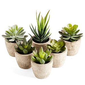 primaison artificial succulents plants potted set-decorative fake succulent plant faux plastic plant indoor &outdoor for house office desk bathroom kitchen diy decor gift set of 6