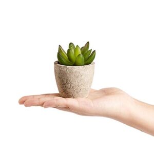 PRIMAISON Artificial Succulents Plants Potted Set-Decorative Fake Succulent Plant Faux Plastic Plant Indoor &Outdoor for House Office Desk Bathroom Kitchen DIY Decor Gift Set of 6