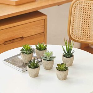 PRIMAISON Artificial Succulents Plants Potted Set-Decorative Fake Succulent Plant Faux Plastic Plant Indoor &Outdoor for House Office Desk Bathroom Kitchen DIY Decor Gift Set of 6