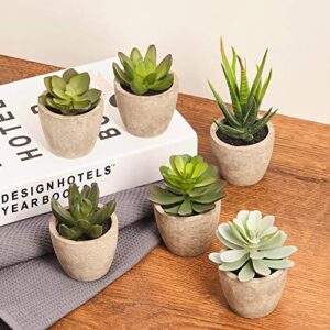 PRIMAISON Artificial Succulents Plants Potted Set-Decorative Fake Succulent Plant Faux Plastic Plant Indoor &Outdoor for House Office Desk Bathroom Kitchen DIY Decor Gift Set of 6