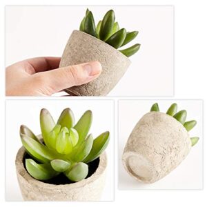 PRIMAISON Artificial Succulents Plants Potted Set-Decorative Fake Succulent Plant Faux Plastic Plant Indoor &Outdoor for House Office Desk Bathroom Kitchen DIY Decor Gift Set of 6