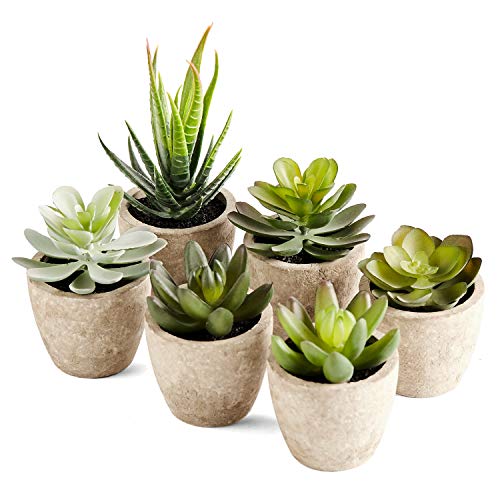 PRIMAISON Artificial Succulents Plants Potted Set-Decorative Fake Succulent Plant Faux Plastic Plant Indoor &Outdoor for House Office Desk Bathroom Kitchen DIY Decor Gift Set of 6