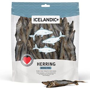 Icelandic+ Plus Herring Whole Fish Dog Treat 9-oz Bag